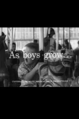 As Boys Grow... - постер
