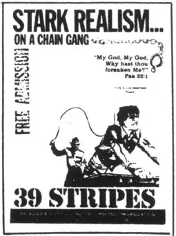 39 Stripes - постер