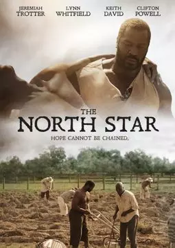 Северная звезда - постер