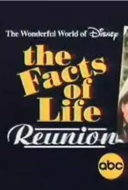 The Facts of Life Reunion - постер