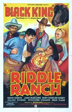 Riddle Ranch - постер