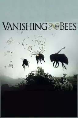 Исчезновение пчел - постер
