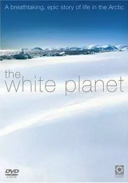 Белая планета - постер