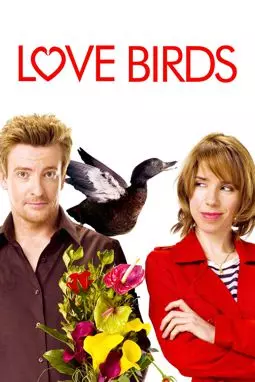 Любовные пташки - постер