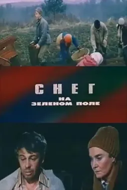 Снег на зелёном поле - постер