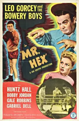 Mr. Hex - постер