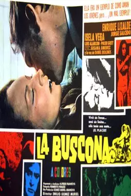 La buscona - постер