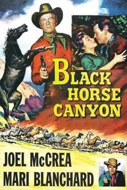 Black Horse Canyon - постер