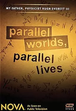 Параллельные миры, параллельные жизни - постер