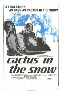 Cactus in the Snow - постер