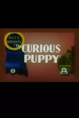 The Curious Puppy - постер