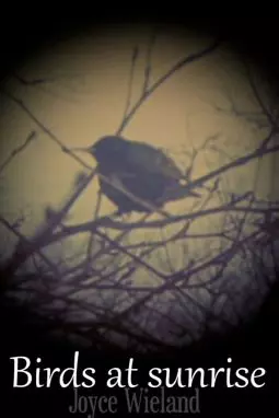 Birds at Sunrise - постер