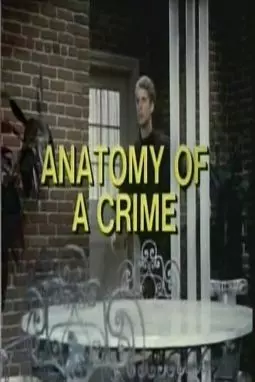 Anatomy of a Crime - постер