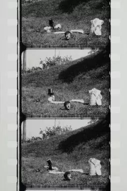 Cretinetti che bello! - постер