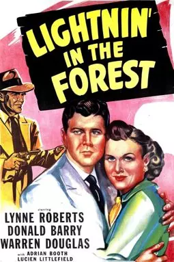 Lightnin' in the Forest - постер