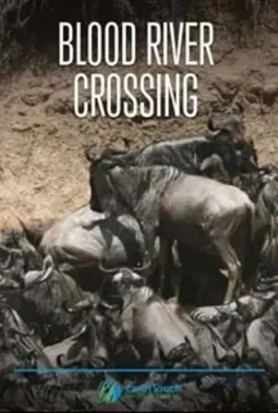 Blood River Crossing - постер