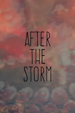 After the Storm - постер