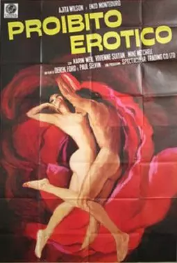 Proibito erotico - постер