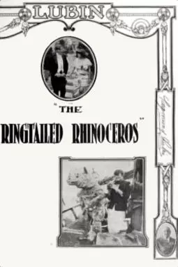 The Ringtailed Rhinoceros - постер