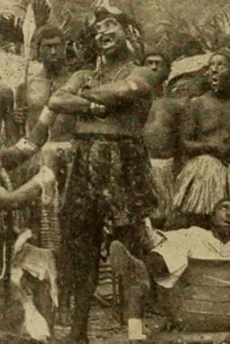 Rastus Among the Zulus - постер