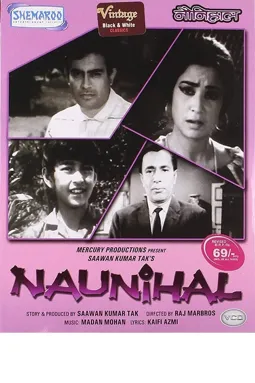 Naunihal - постер