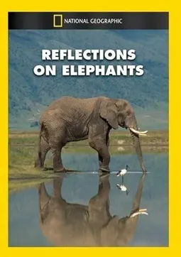 Reflections on Elephants - постер