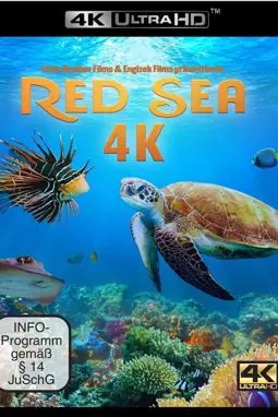 Red Sea - постер