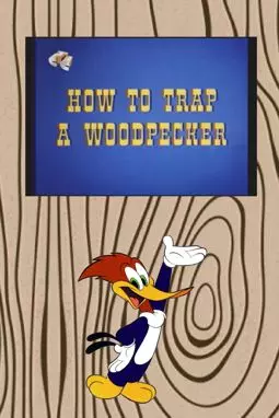 How to Trap a Woodpecker - постер