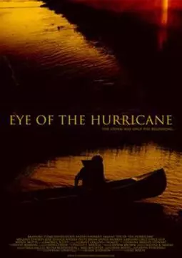 Центр урагана - постер