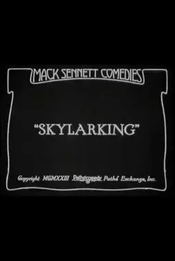 Skylarking - постер