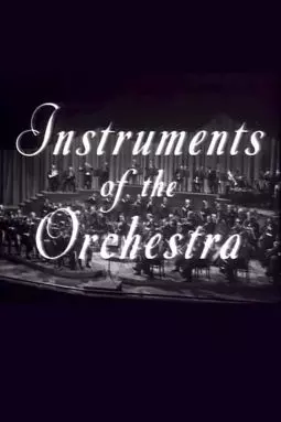 Instruments of the Orchestra - постер