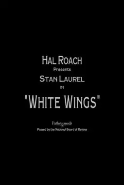 Белые крылья - постер