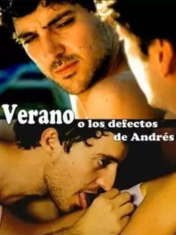 Verano o Los defectos de Andrés - постер