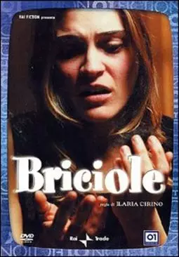 Briciole - постер