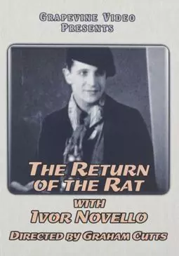 The Return of the Rat - постер