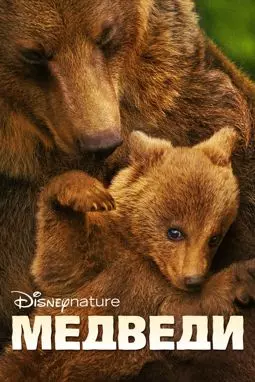 Медведи - постер