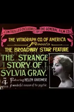 The Strange Story of Sylvia Gray - постер