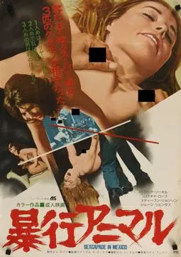Sexcapade in Mexico - постер