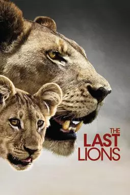 Последние львы - постер