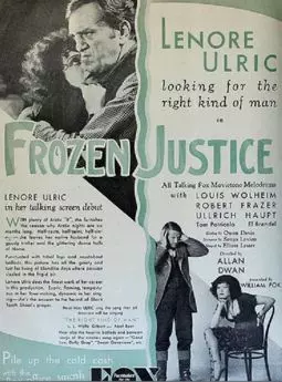 Frozen Justice - постер