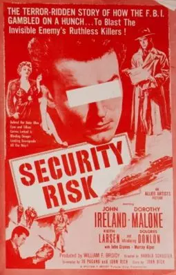 Security Risk - постер