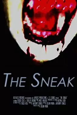 The Sneak - постер