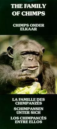 Chimps onder elkaar - постер