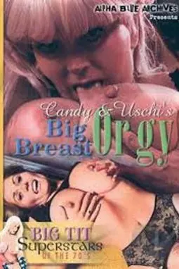 Breast Orgy 2 - постер