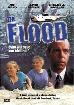 Наводнение: Кто спасёт наших детей? - постер
