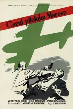 Дело пилота Мареша - постер
