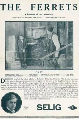 The Ferrets - постер