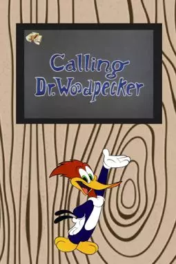 Calling Dr. Woodpecker - постер