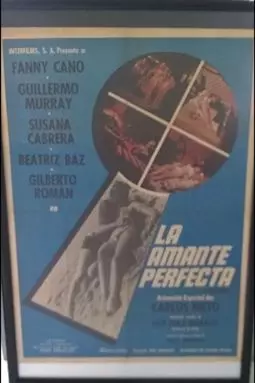 La amante perfecta - постер