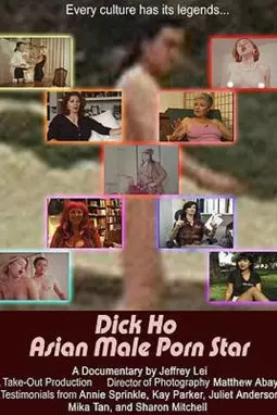 Dick Ho: Asian Male Porn Star - постер